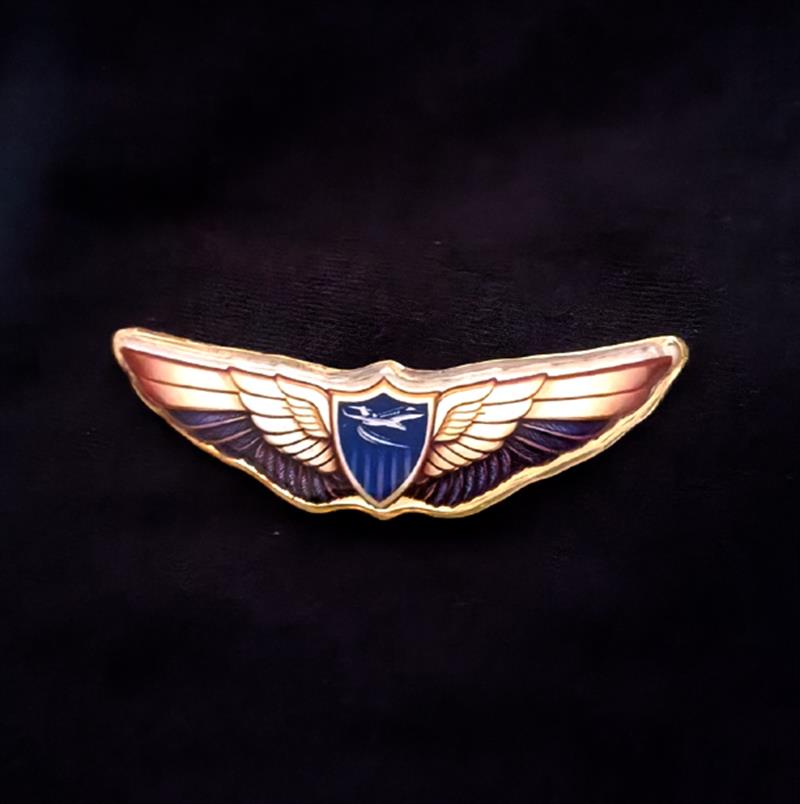 BRASS WING BADGE